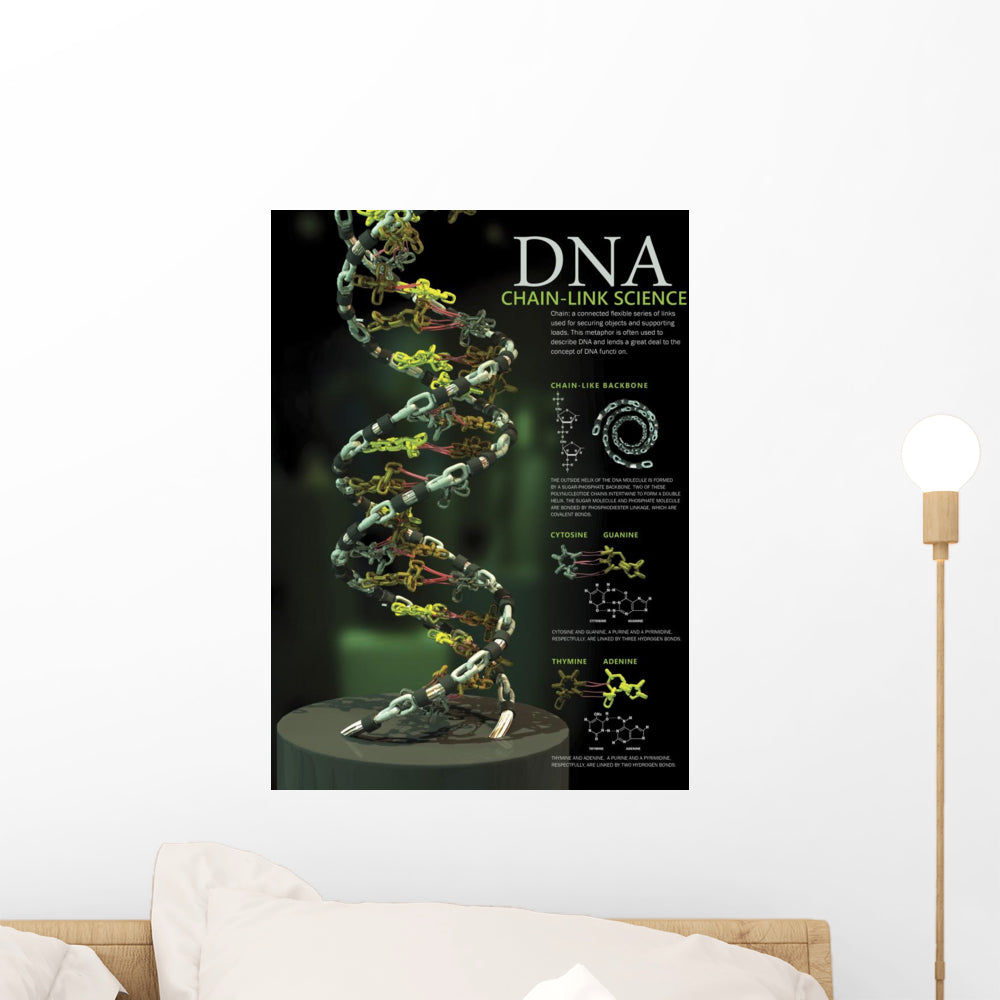 3D DNA Vertical Wall Decal - Vibrant Decor for Any Space