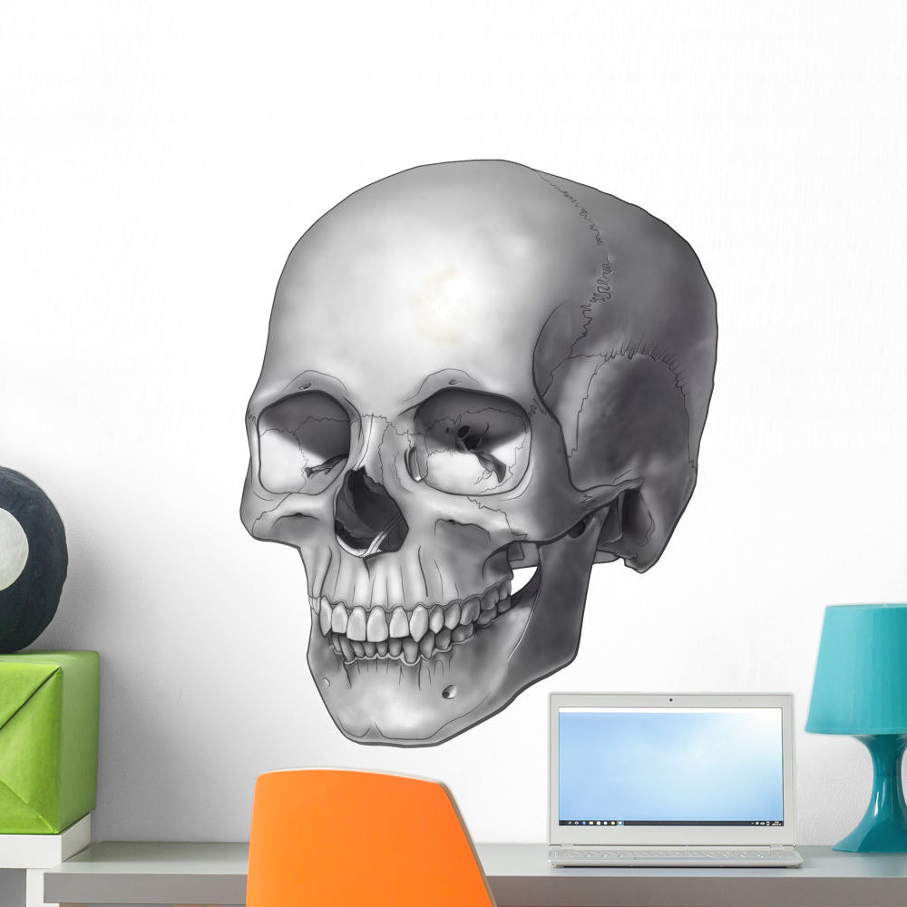 Epic Skull Illustration Wall Decal for Bold Interiors