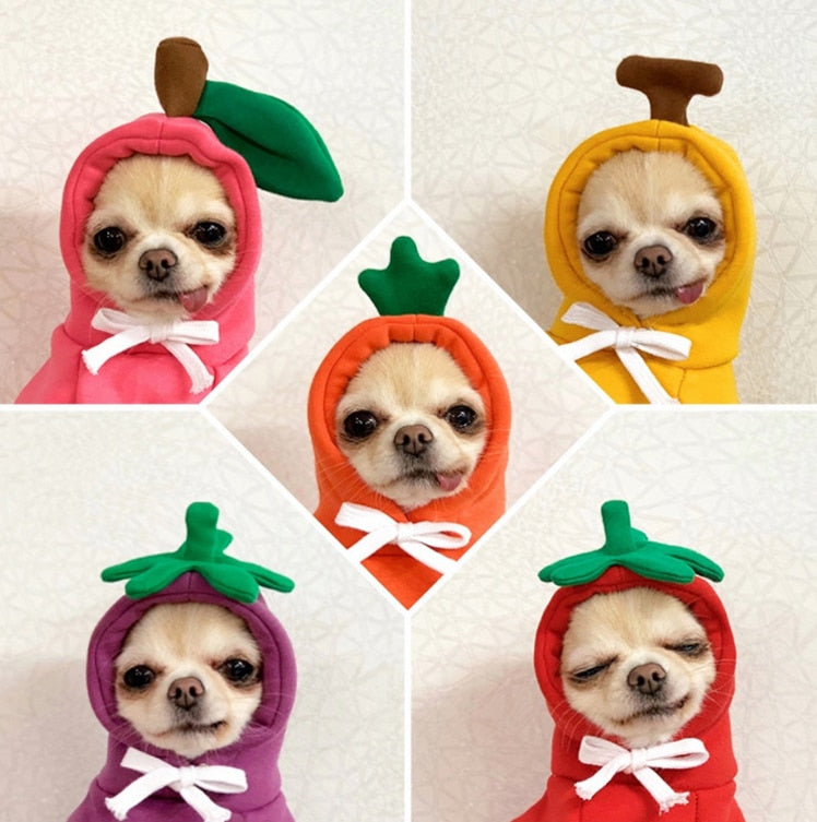 Stylish Dog Hoodie with Vibrant Colors