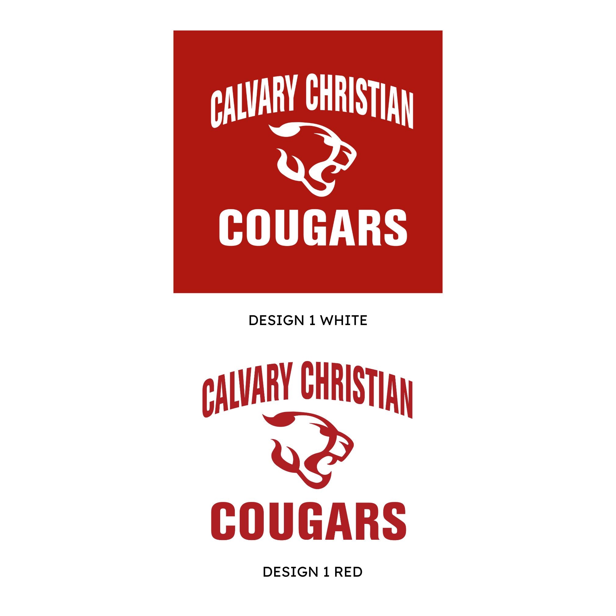 DTG Vintage Indie Calvary Christian Cougars Youth Hoodie | DESIGN 1