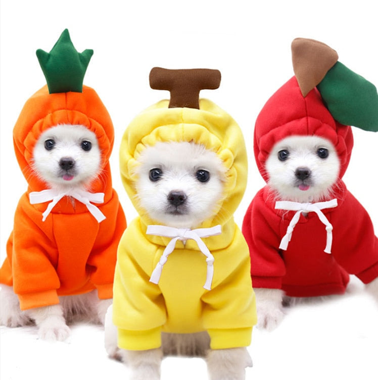 Stylish Dog Hoodie with Vibrant Colors