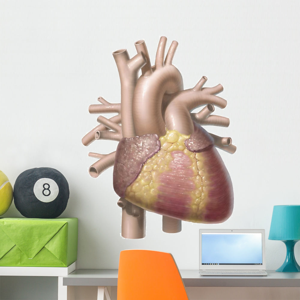 Vibrant Color Illustration Wall Decal for Healthy Living Spaces