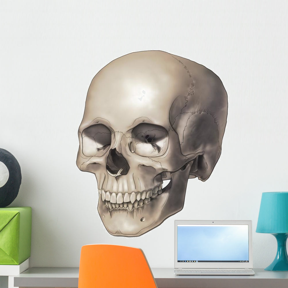 Vibrant Human Skull Wall Decal by Wall Monkeys