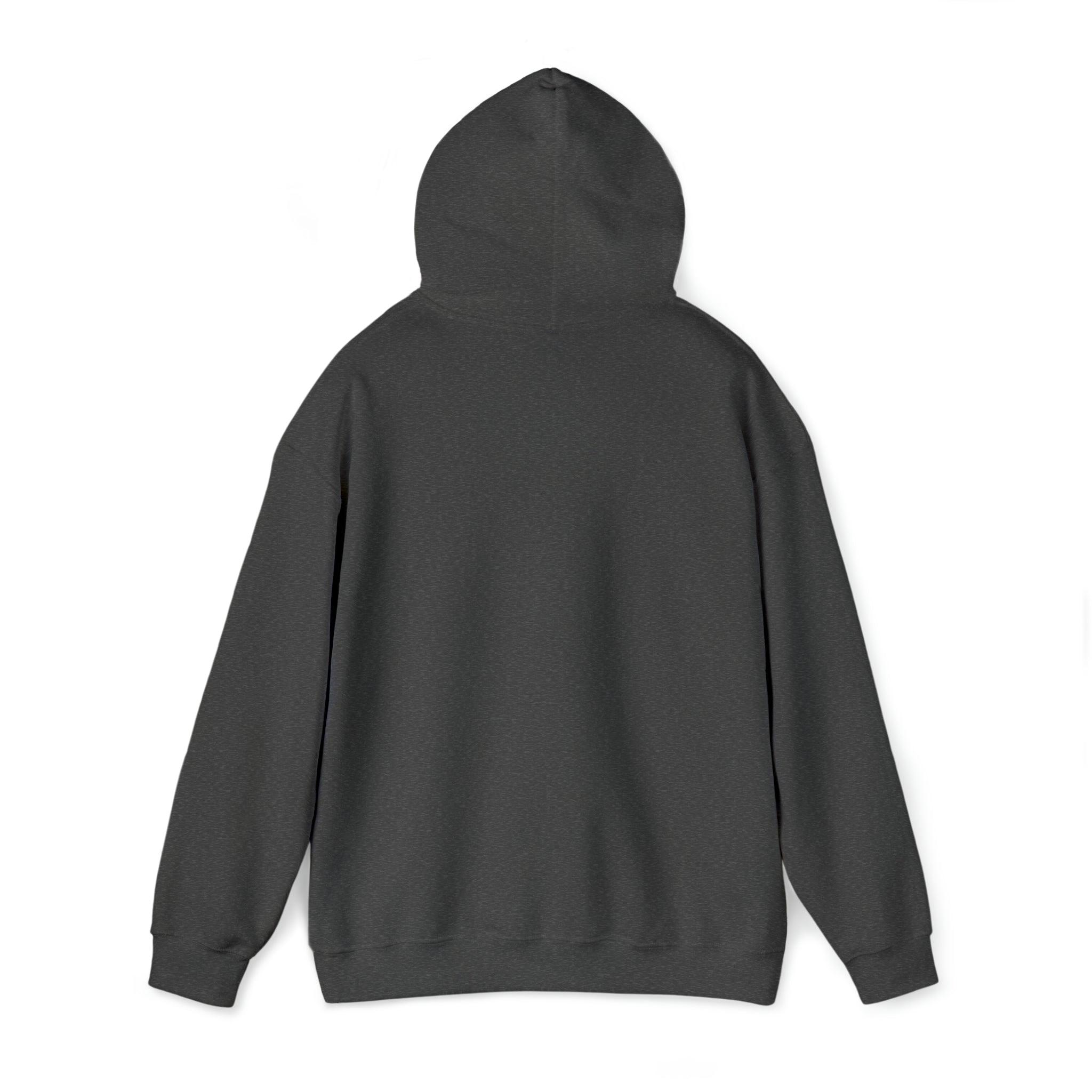 Joyful Christian Hoodie - Blend of Faith and Humor