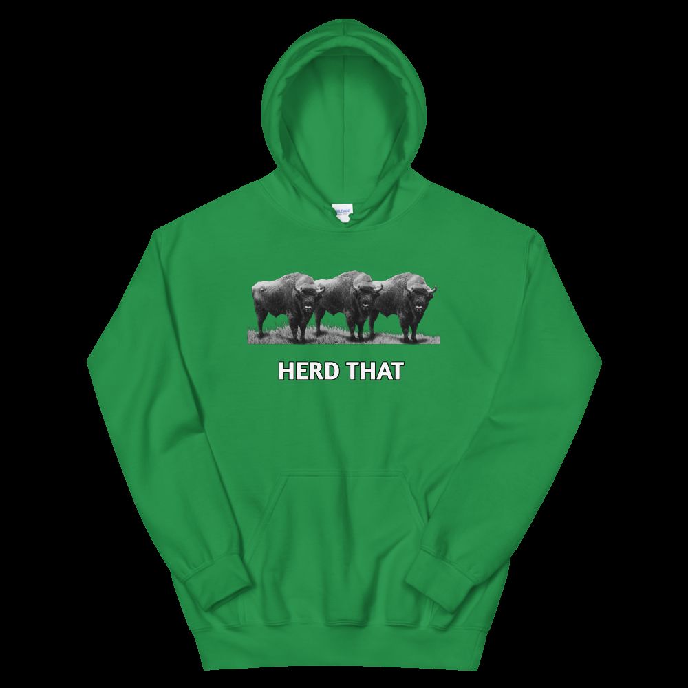 Cozy & Stylish Unisex Hoodie