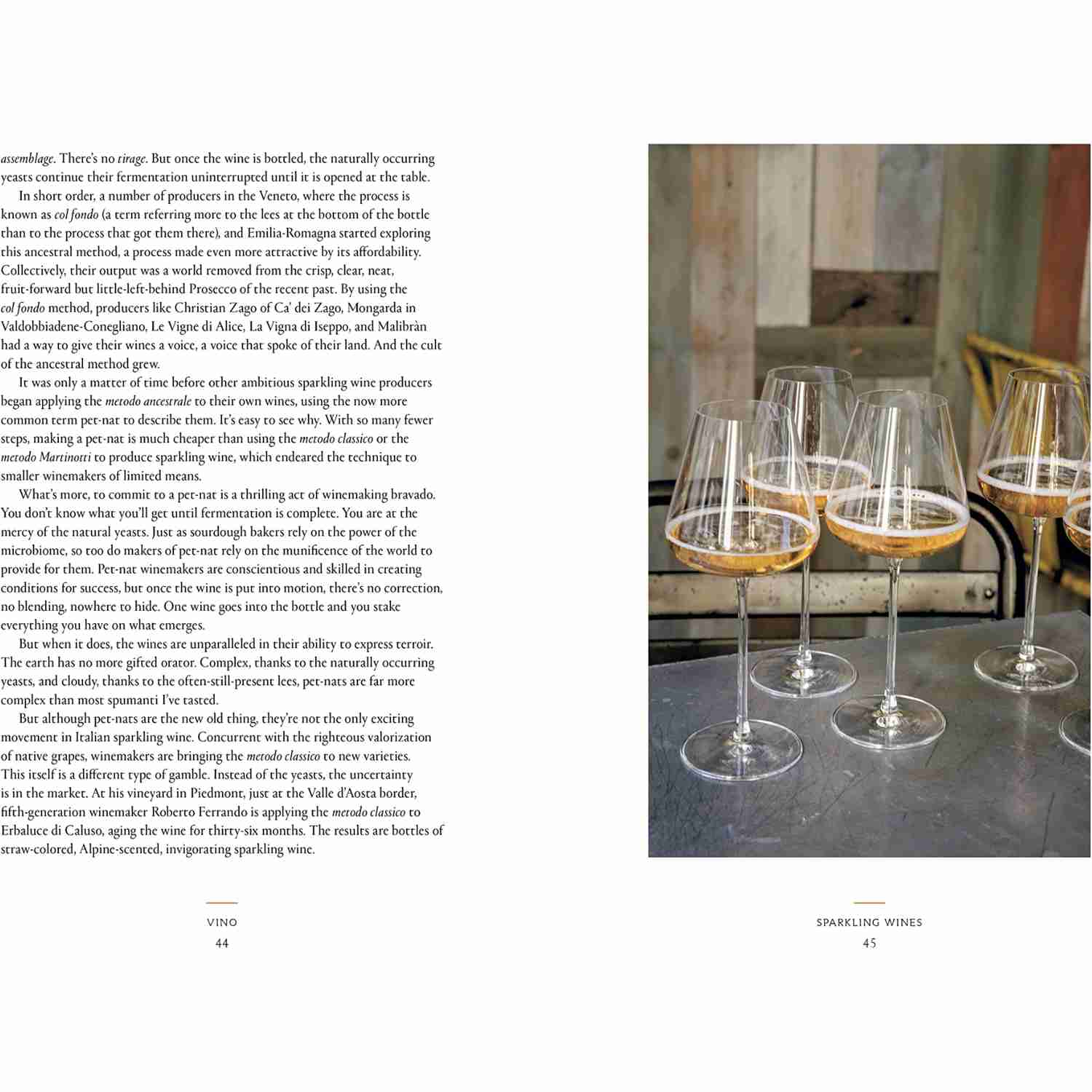 Vino: A Modern Guide to Authentic Italian Wines