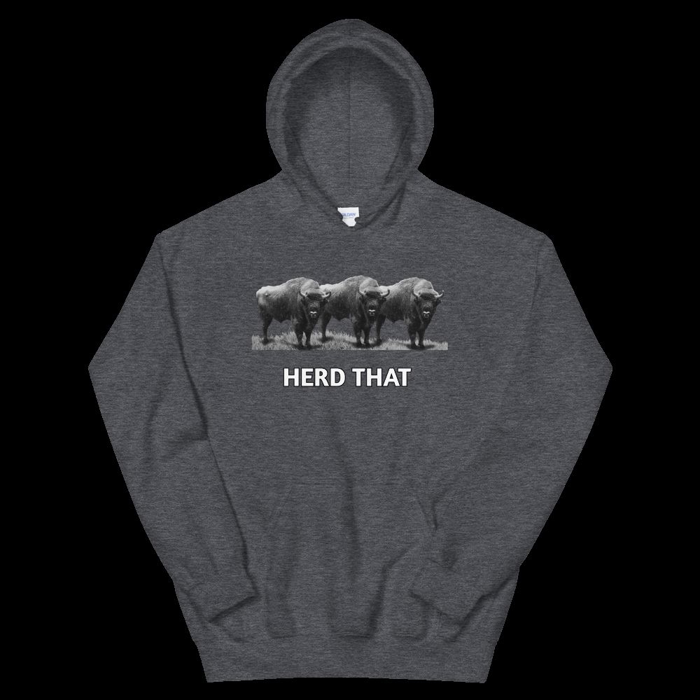 Cozy & Stylish Unisex Hoodie
