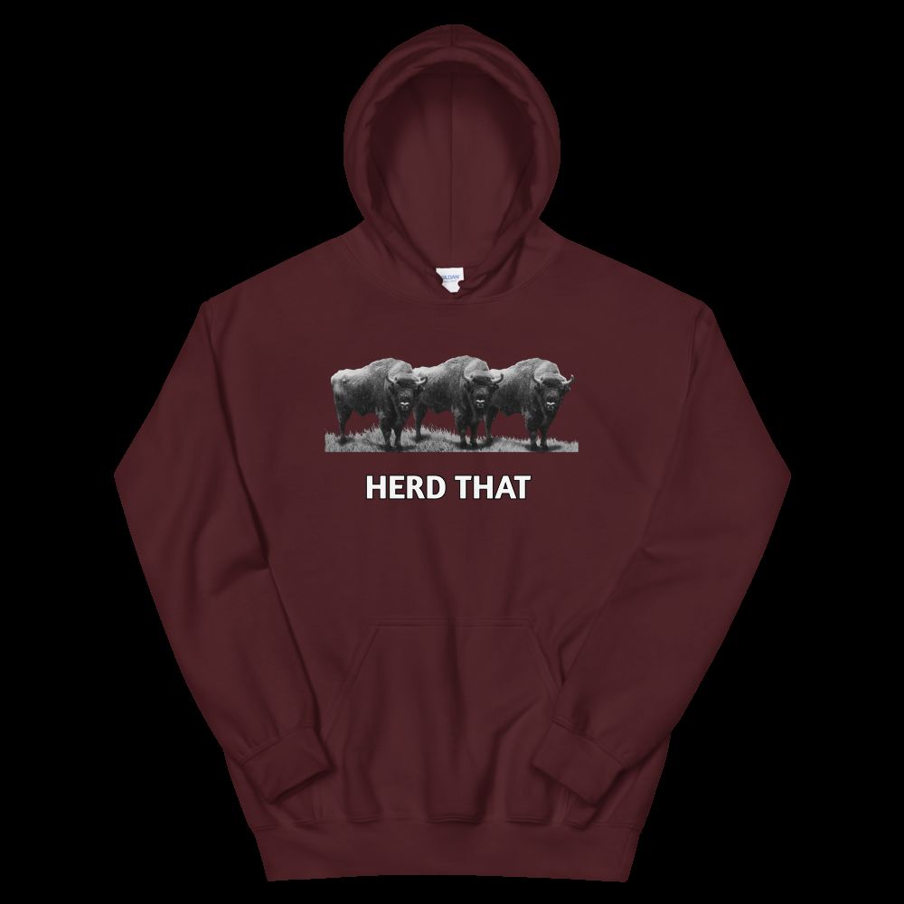 Cozy & Stylish Unisex Hoodie