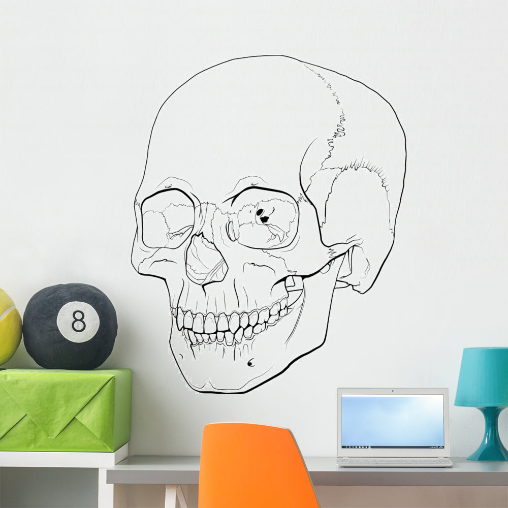 Elegant Line Illustration Human Skull Wall Decal