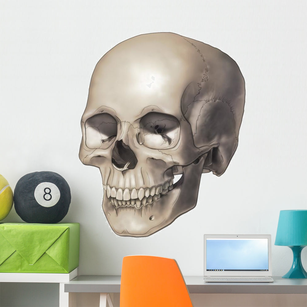 Vibrant Human Skull Wall Decal by Wall Monkeys