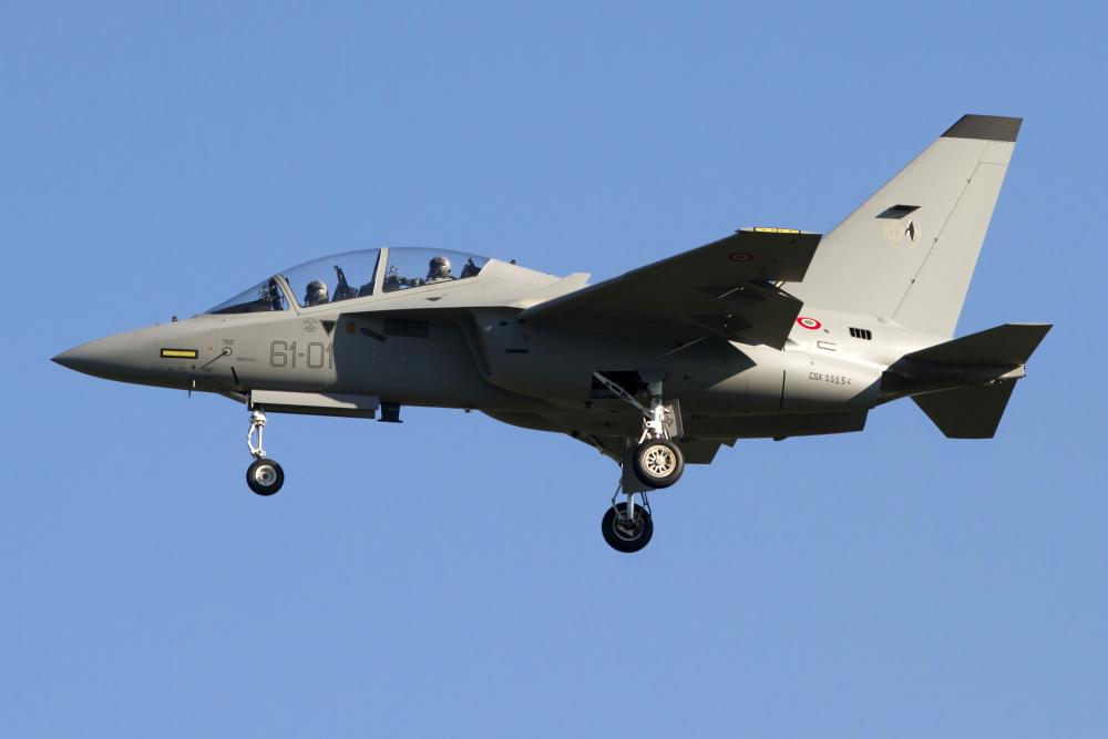 Alenia Aermacchi M-346 Master Landing Gear Vinyl Wall Decal
