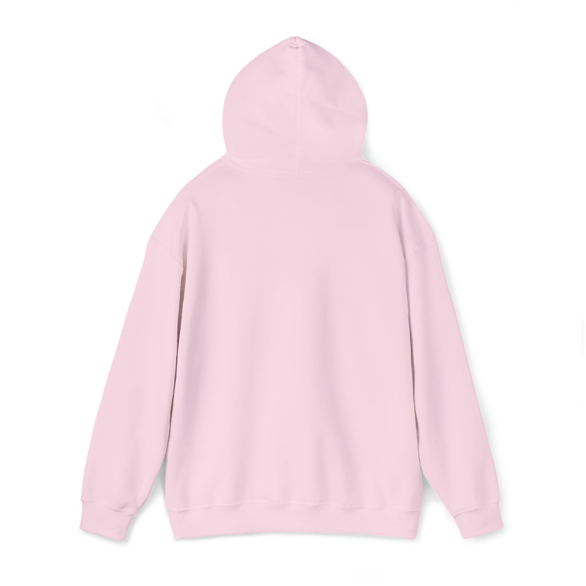 RSBC Unisex Heavy Blend Hooded Sweatshirt - Premium Comfort