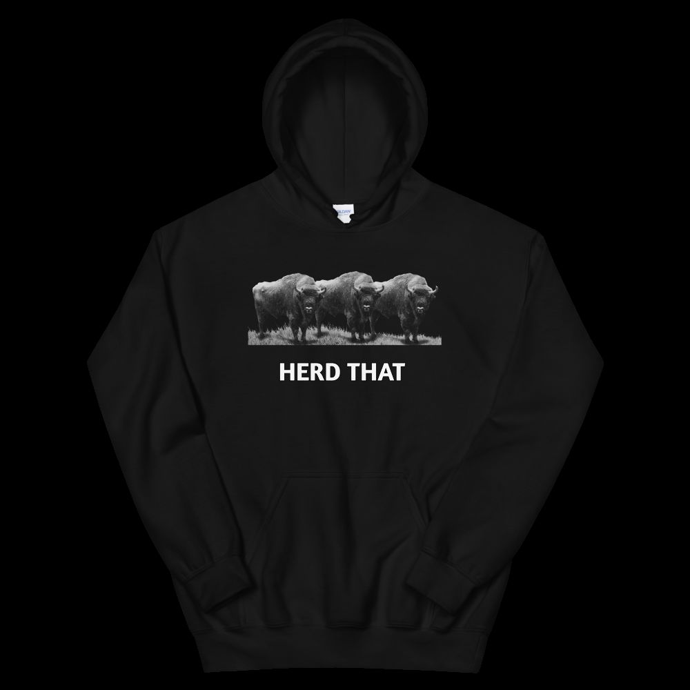 Cozy & Stylish Unisex Hoodie