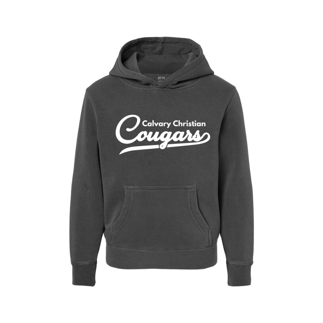 DTG Vintage Indie Cavalry Christian Cougars Youth Hoodie | DESIGN 7
