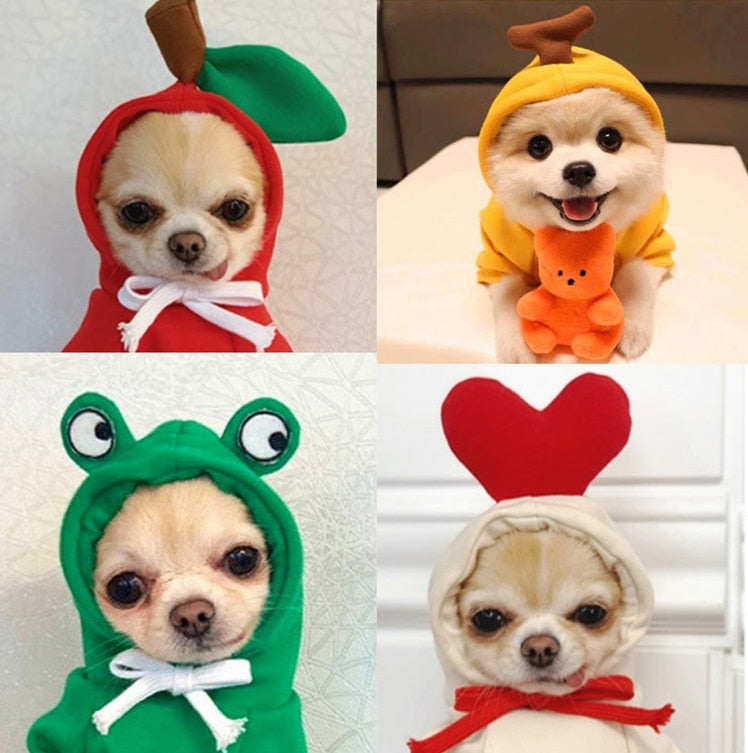 Stylish Dog Hoodie with Vibrant Colors