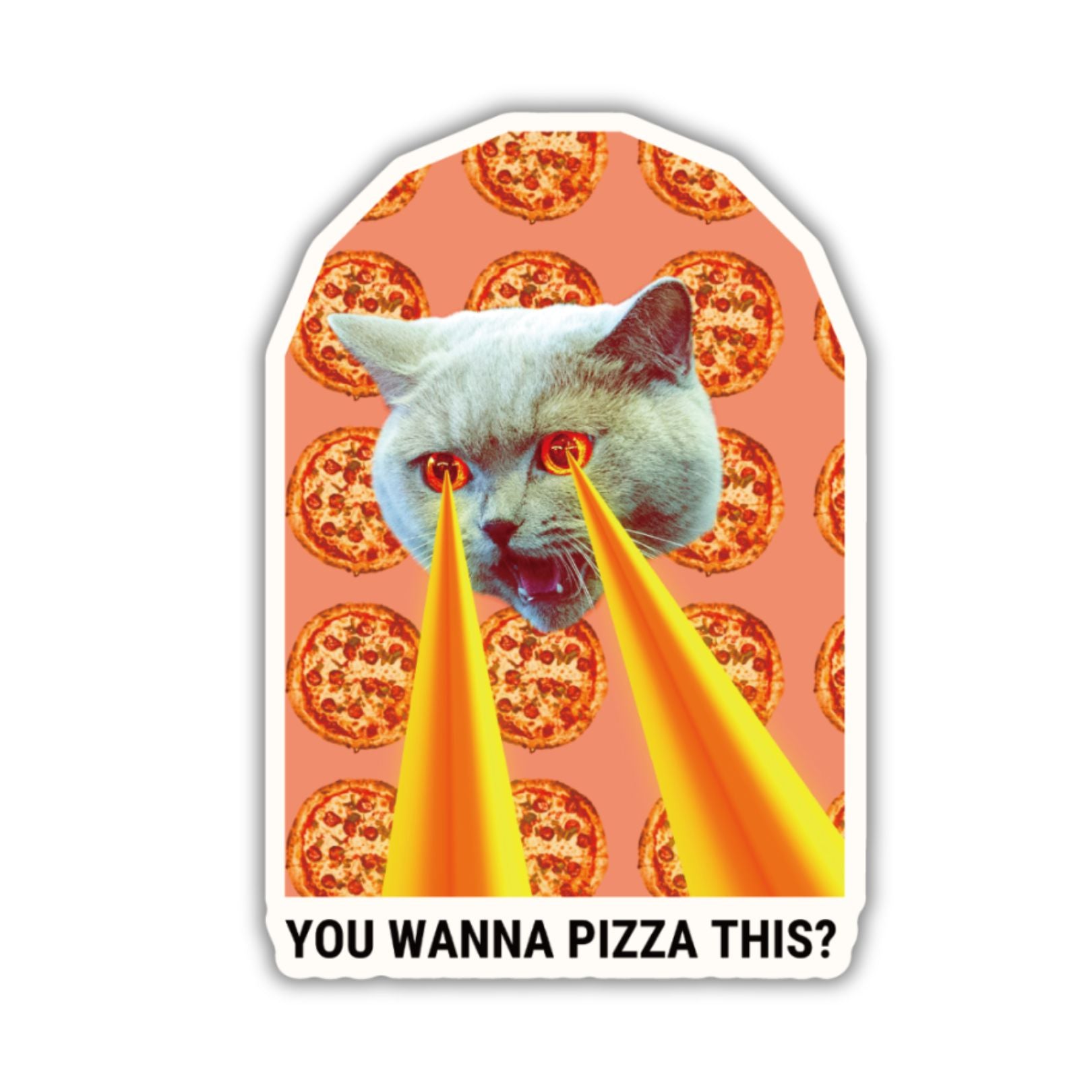 Funny Cat Pizza Sticker | Unique Vinyl Decal
