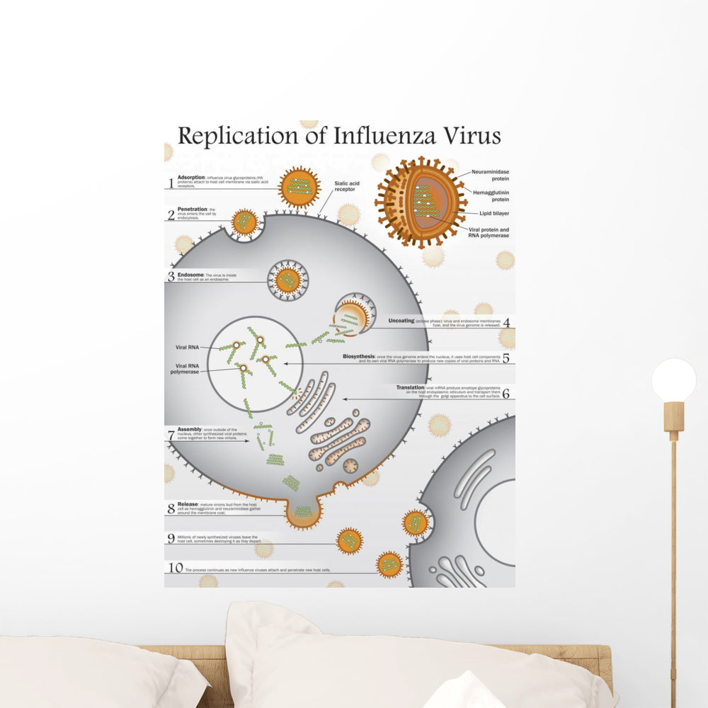 Vibrant Ten Steps to Replication Wall Decal