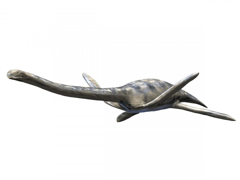 Zarafasaura Oceanis Aquatic Reptile Wall Decal - Lively Decor for Any Space