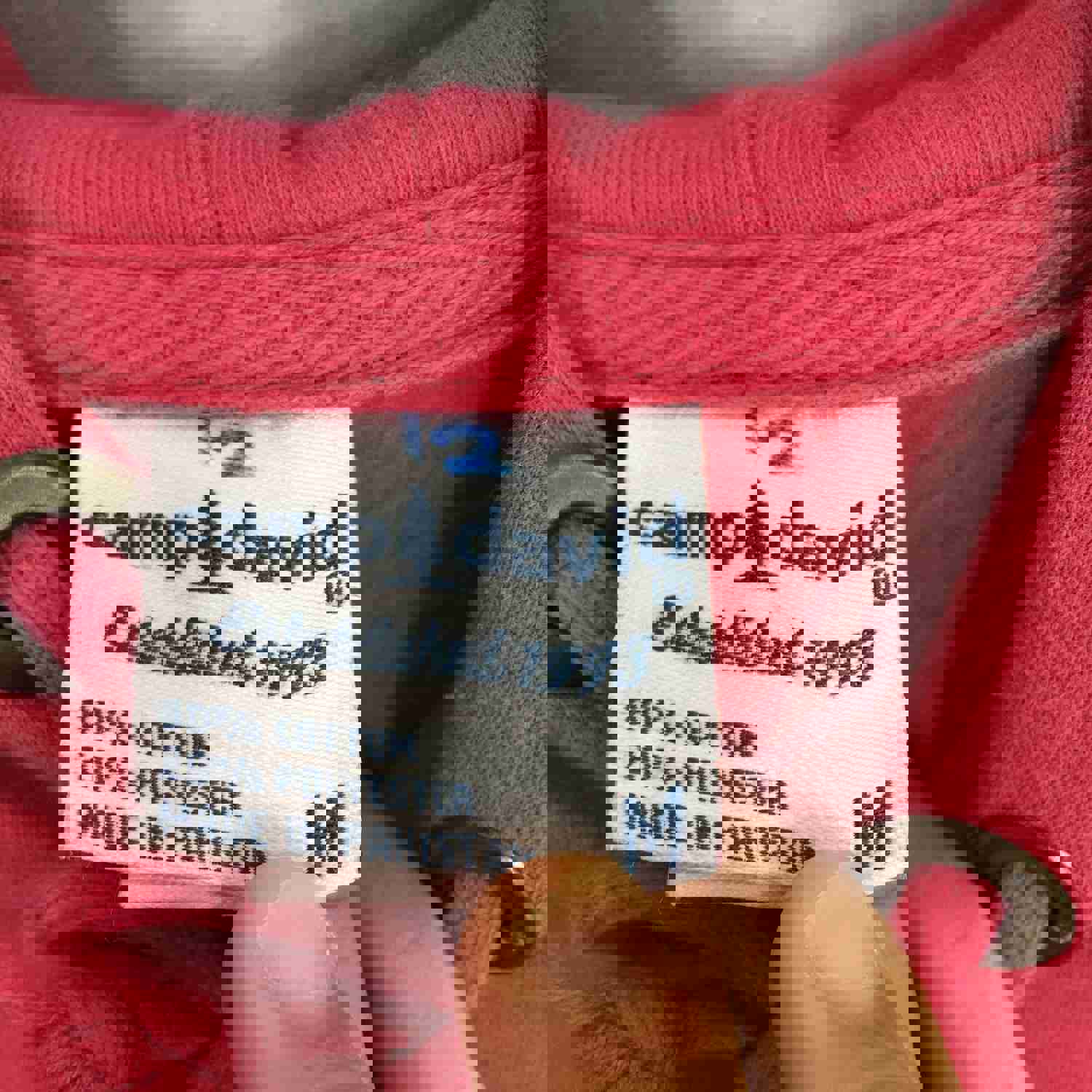 Vintage Bluefield State College Pink Hoodie Sweatshirt - Medium