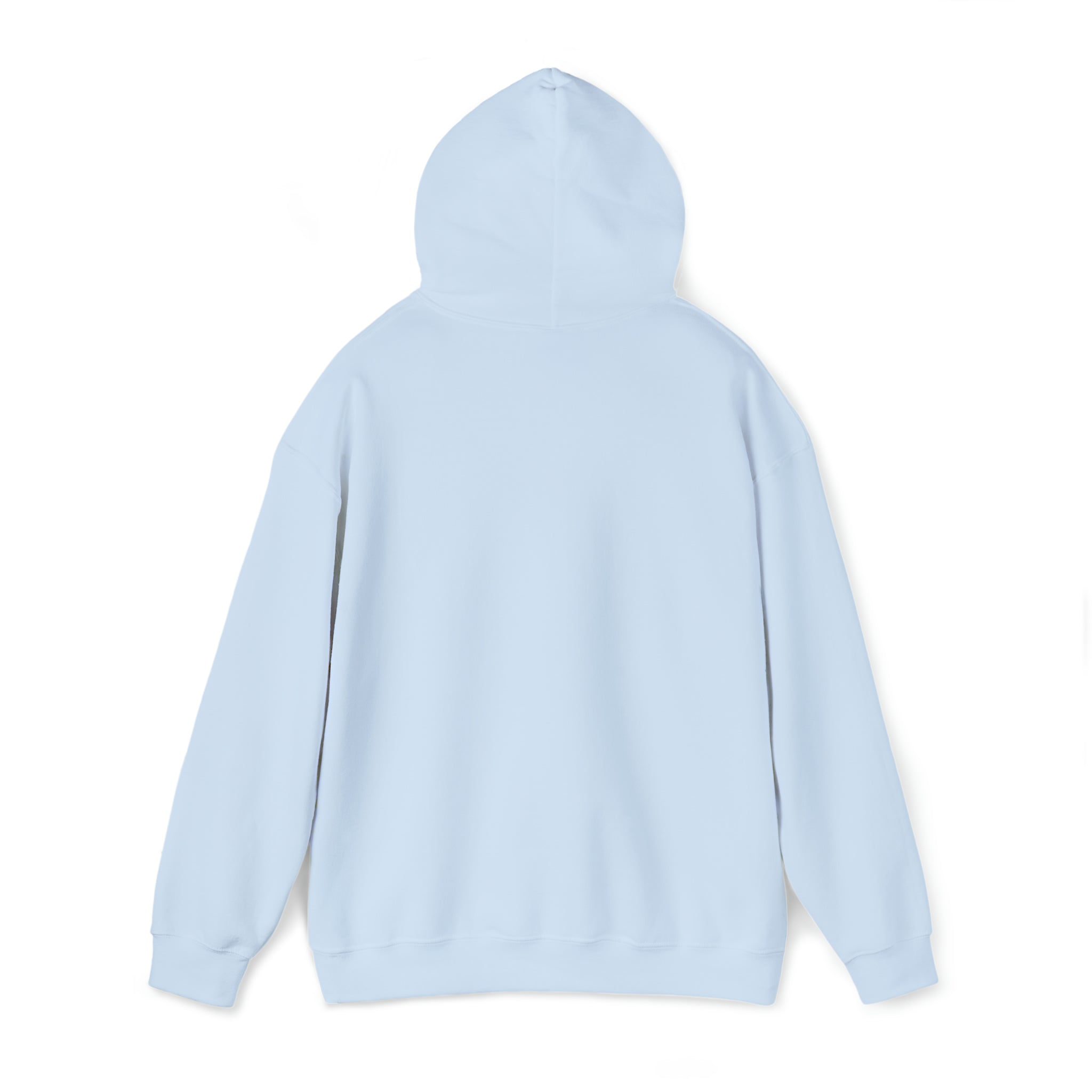 RSBC Unisex Heavy Blend Hooded Sweatshirt - Premium Comfort