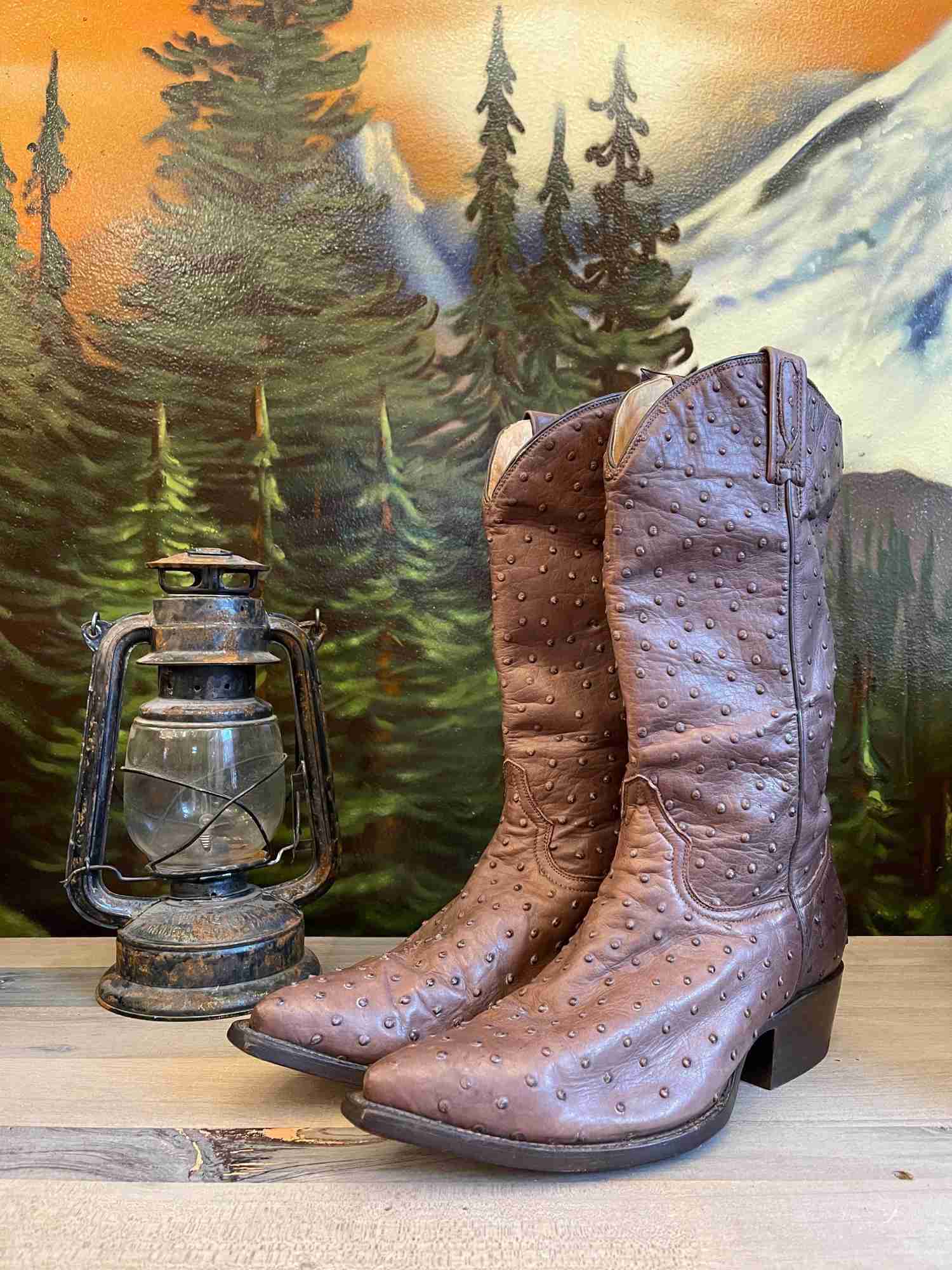 Rudel Ostrich Cowboy Boots for Men - Size 10 Wide