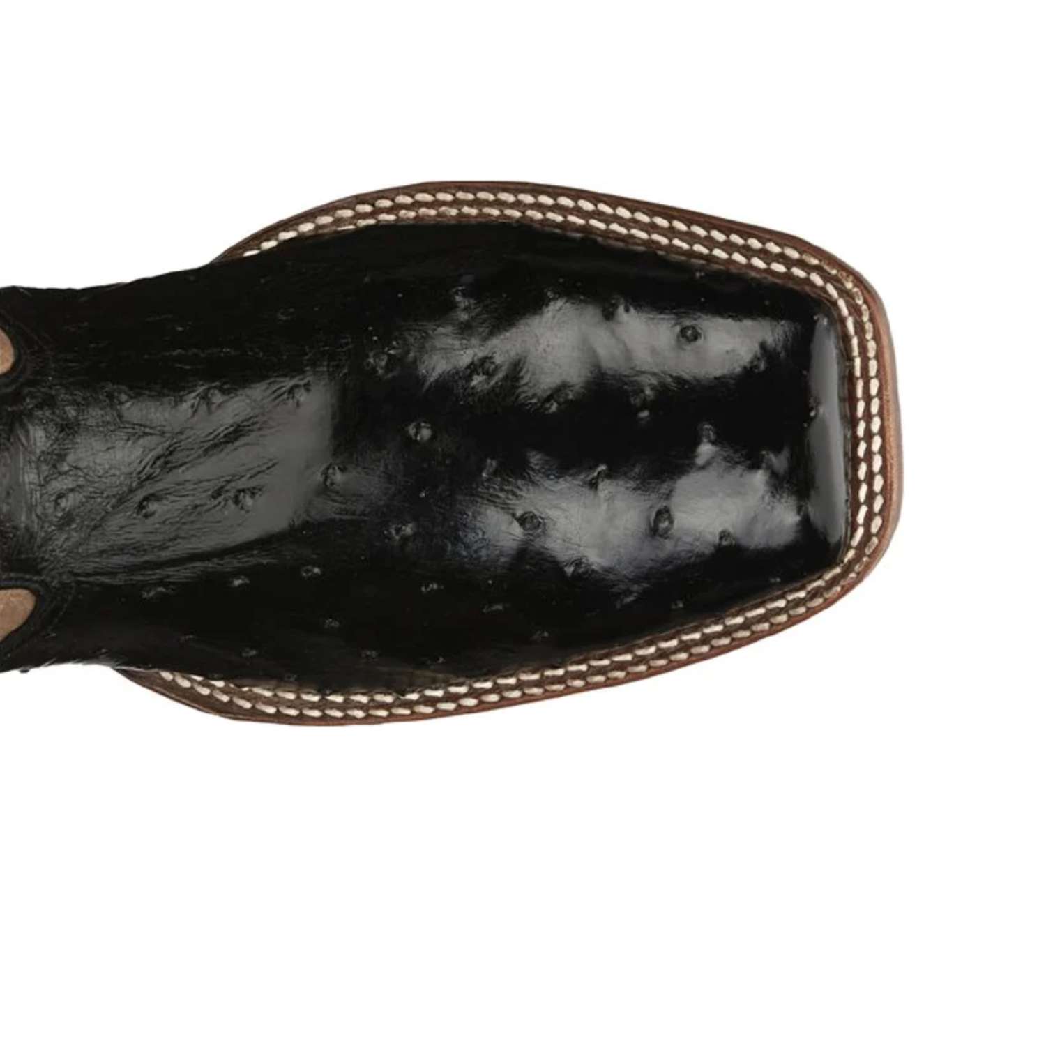 Tony Lama Men's Castillo Full Quill Ostrich Western Boots - EP6094
