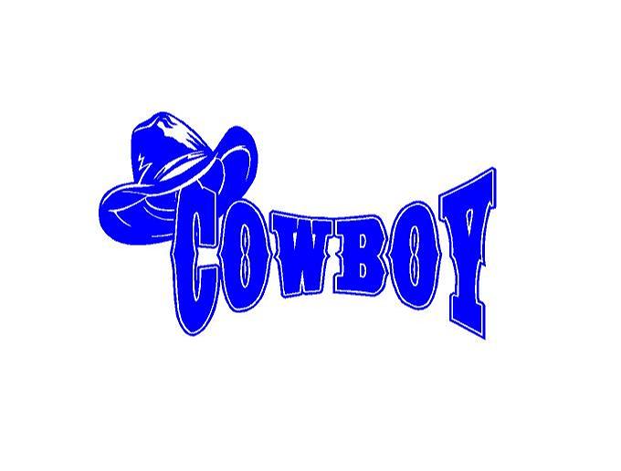 Custom Cowboy Western Boots Vinyl Decal for Car and Truck Windows