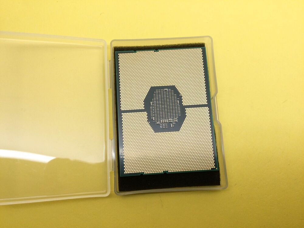 Intel Xeon Processor Gold 6244 8-Core 3.60GHz CPU