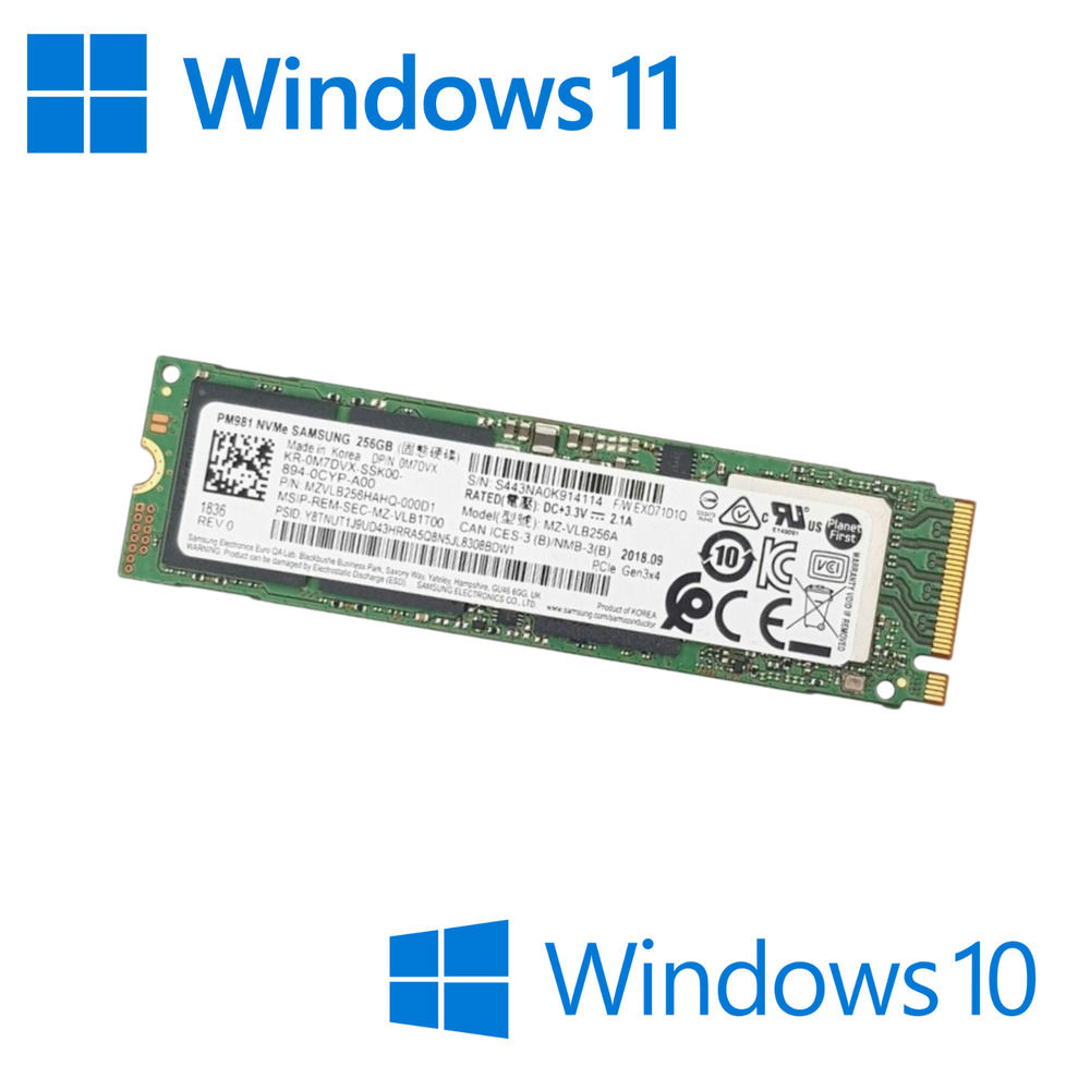 High-Speed M.2 NVMe SSD with Pre-installed Windows 10/11 Pro