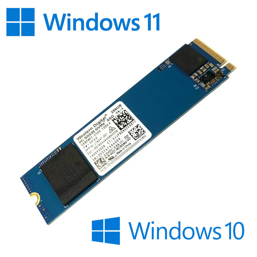 High-Speed M.2 NVMe SSD with Pre-installed Windows 10/11 Pro