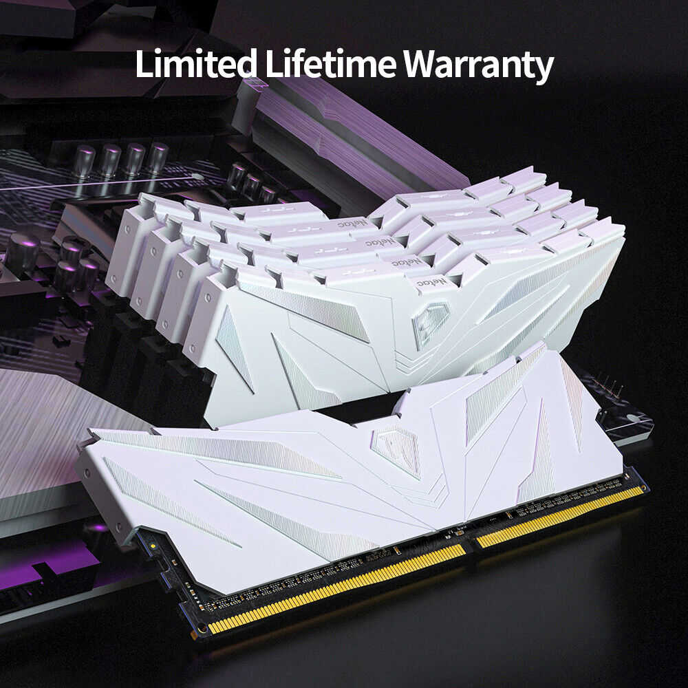 Netac DDR4 32GB (2x16GB) 3200MHz UDIMM RAM Kit