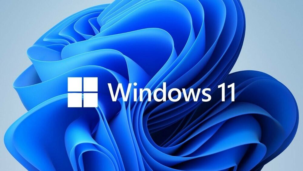 Dell Windows 11 Pro Desktop Computer with 22" Monitor