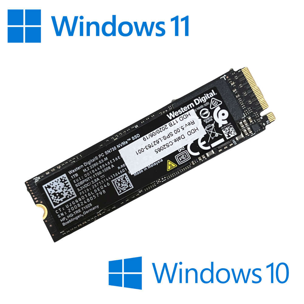 High-Speed M.2 NVMe SSD with Pre-installed Windows 10/11 Pro
