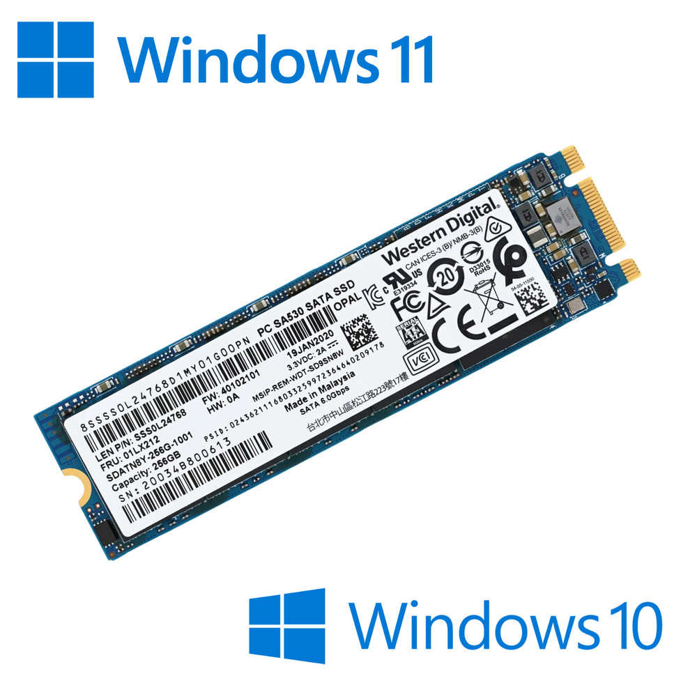 M.2 SSD SATA with Pre-Activated Windows 10/11 Pro - High-Speed Solid State Drive