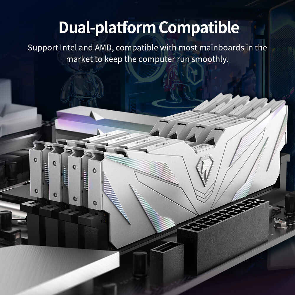 Netac DDR4 32GB (2x16GB) 3200MHz UDIMM RAM Kit