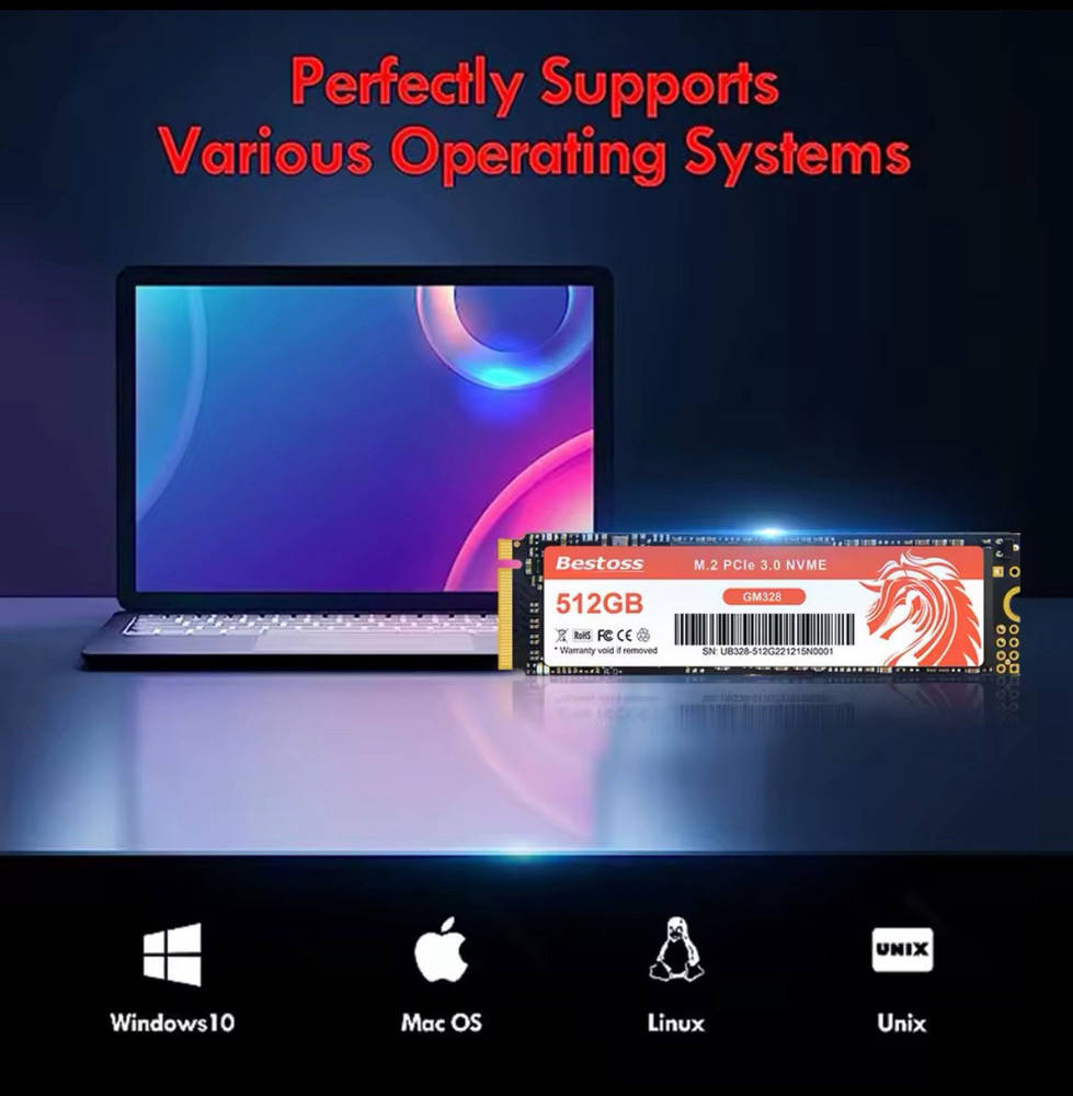 High-Speed NVMe M.2 256GB SSD for Gaming Laptops