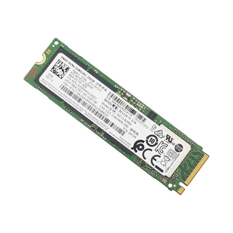 High-Performance SATA M.2 SSD with Pre-Activated Windows 10/11 Pro