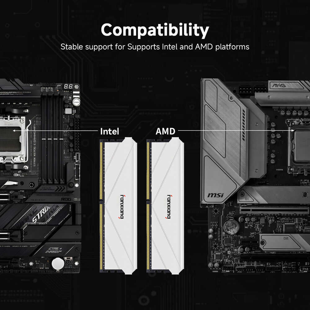 Fanxiang DDR4 RAM 32GB (16GB x2 + 8GB x2) 3200MHz & 3600MHz UDIMM Desktop Memory