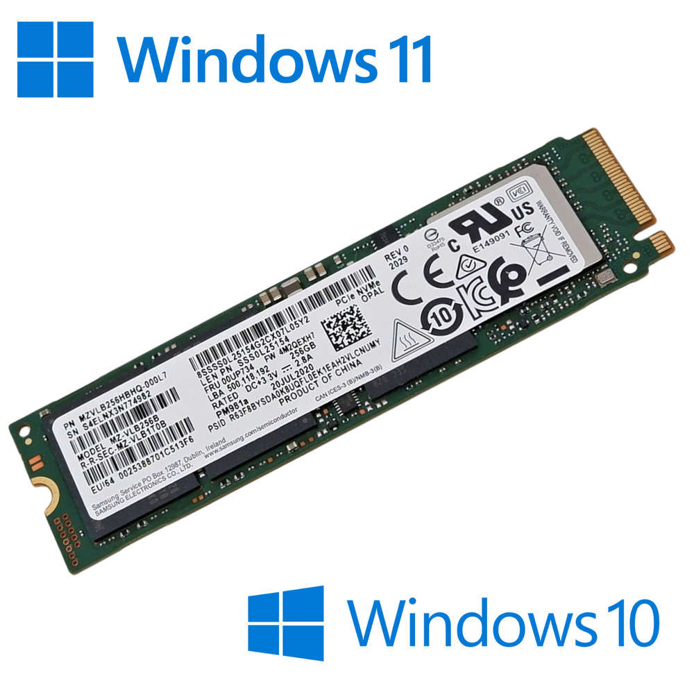 High-Speed M.2 NVMe SSD with Pre-installed Windows 10/11 Pro