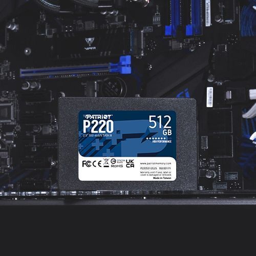 Patriot P220 256GB SSD - High-Speed SATA III Internal Storage for PC/MAC