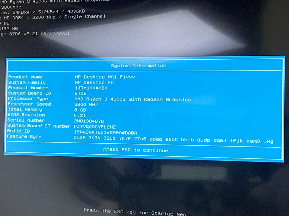 HP Desktop M01-F1120 Ryzen 3 4300G Gaming PC