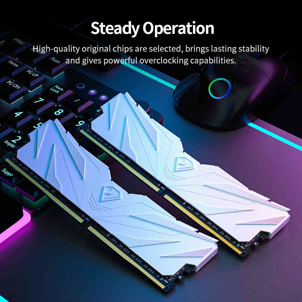 Netac DDR4 32GB (2x16GB) 3200MHz UDIMM C16 Desktop RAM Kit