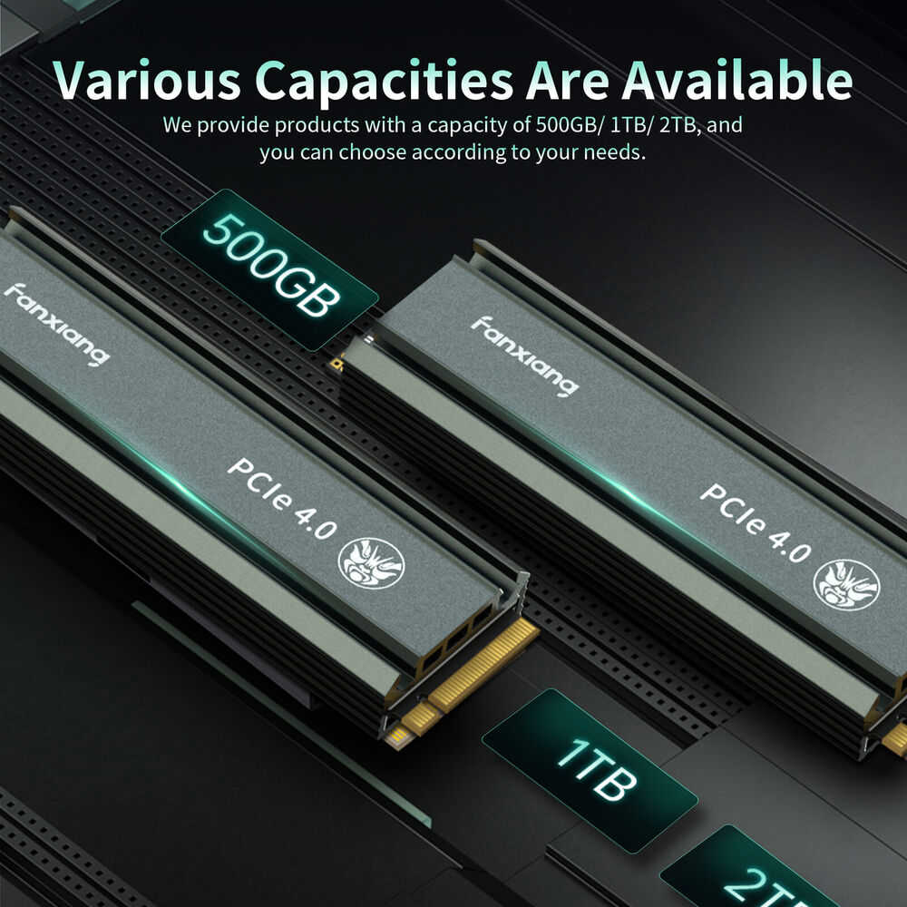 Fanxiang 2TB M.2 NVMe SSD with Heat Sink PCIe 4.0 | High-Speed Internal Storage