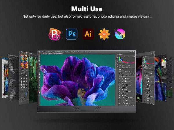 15.6" 4K Ultra HD Portable Monitor with HDR and VESA Mount