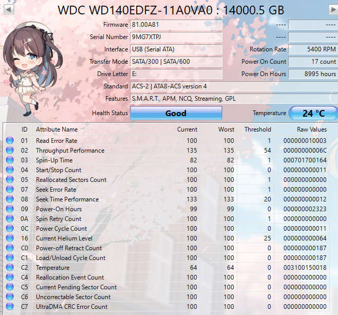 Western Digital 14TB Silver SATA Hard Disk Drive | WD140EDFZ