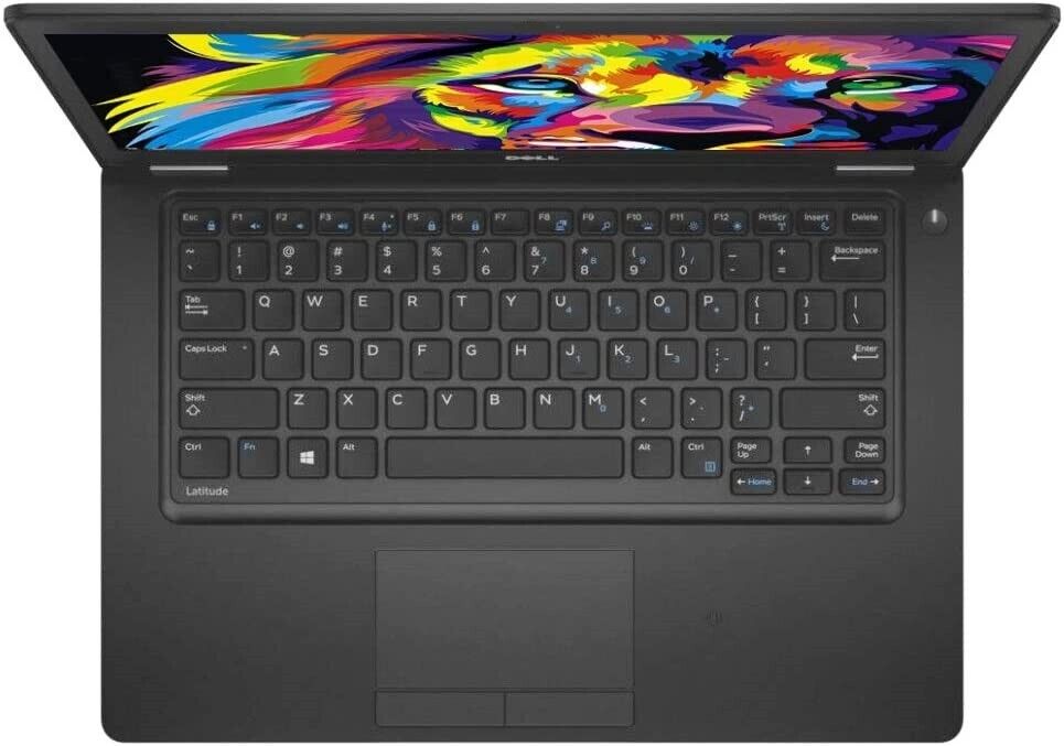 Dell Latitude Laptop - Intel i5, 8GB RAM, 500GB HDD, Windows 10