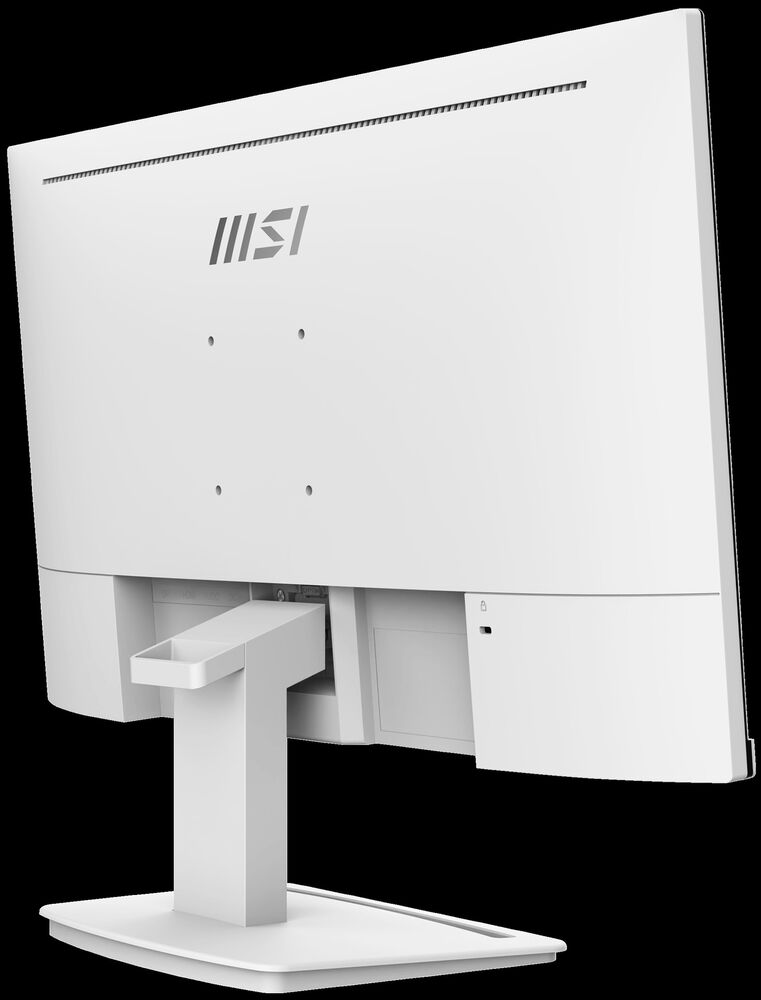 MSI PRO MP243XW 24" FHD Business Monitor with 100Hz, 1ms Response, and Built-in Speakers