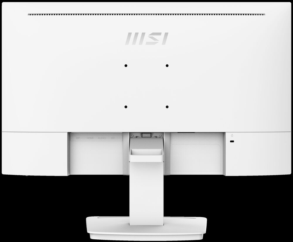MSI PRO MP243XW 24" FHD Business Monitor with 100Hz, 1ms Response, and Built-in Speakers