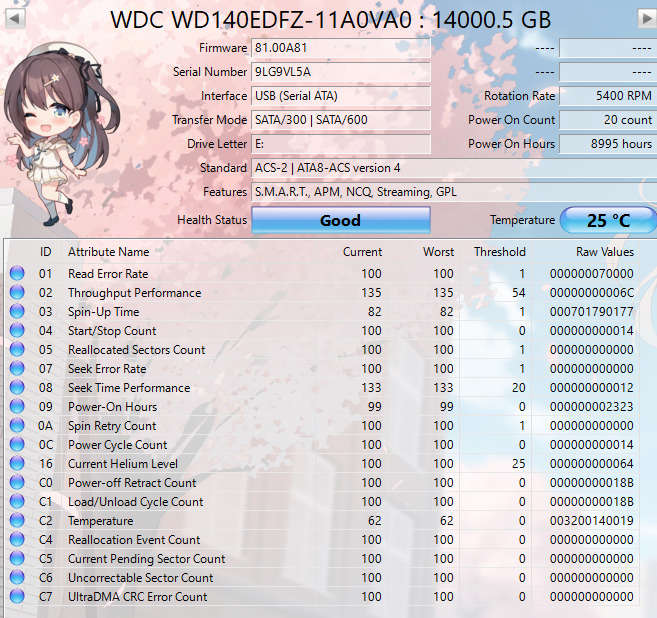 Western Digital 14TB Silver SATA Hard Disk Drive | WD140EDFZ