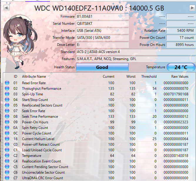 Western Digital 14TB Silver SATA Hard Disk Drive | WD140EDFZ
